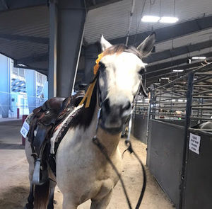 Meet your Posher, Emmelee